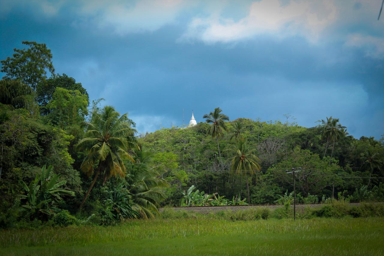 Paddy Field View Resort Mirissa Exterior photo