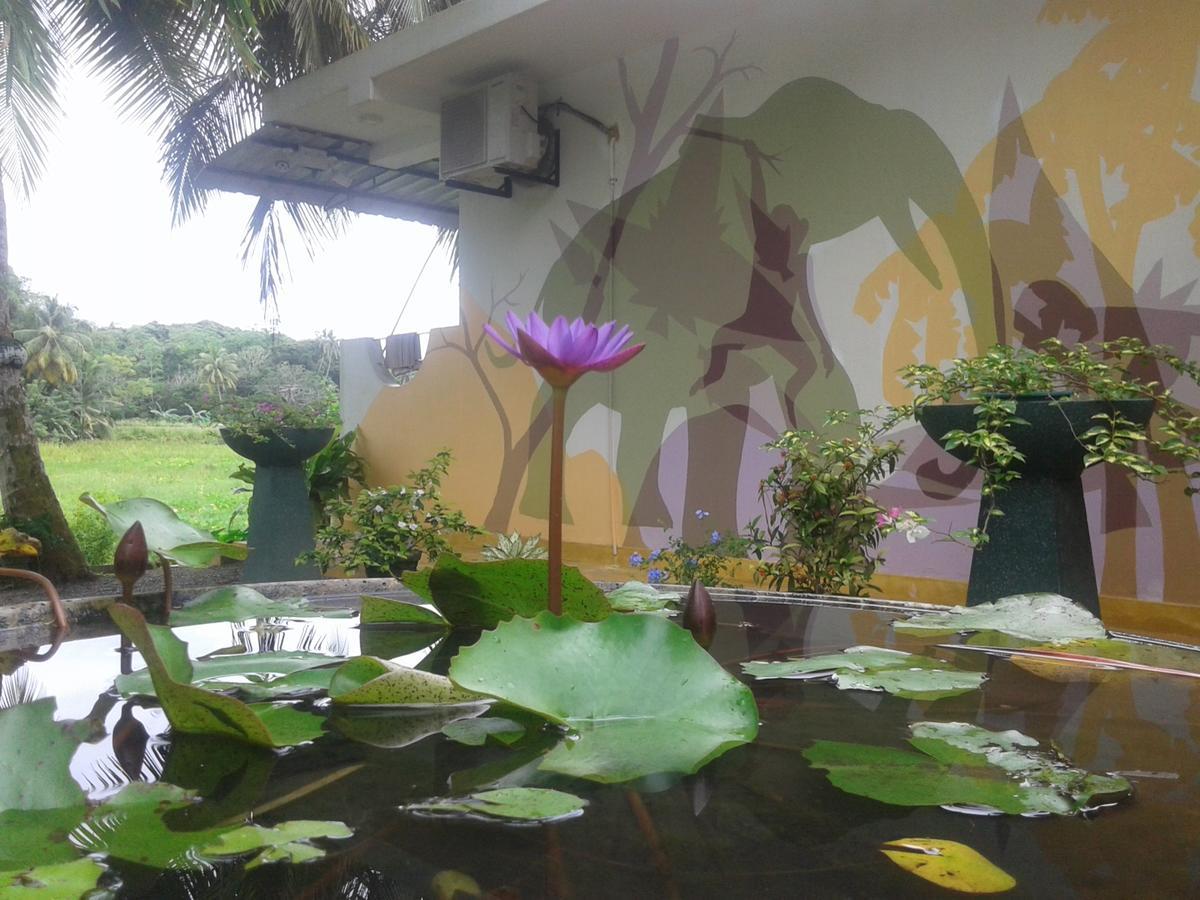 Paddy Field View Resort Mirissa Exterior photo
